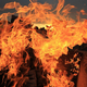 Photographic rendition of Fyre Festival's plans going up in flames. (Photo: David McNew / Getty Images)